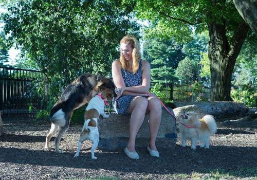 一名女子在宾夕法尼亚州阿宾顿市的罗斯戴尔bbin里与三只狗玩耍